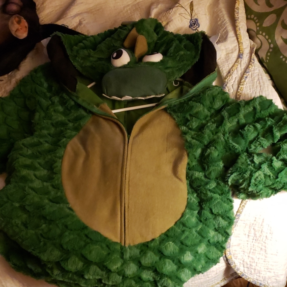 Full body dinosaur pajamas